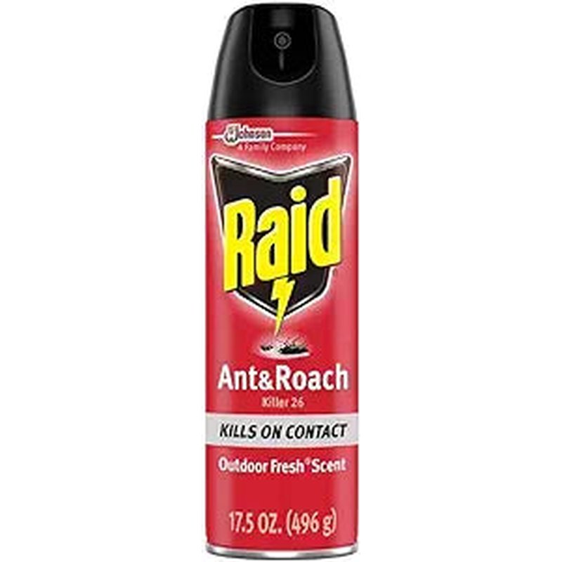 Raid Ant & Roach Spray Outdoor Fresh 17.50 oz wholesale grocery retail distribution