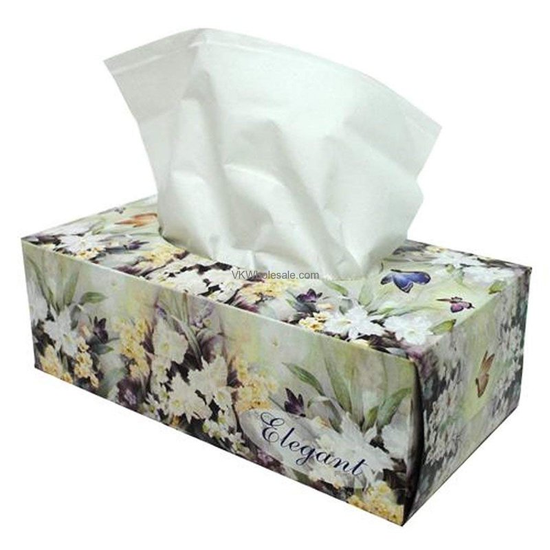 Select Elegant Facial Tissue 2-Ply 160 Sheets wholesale household retail distribution