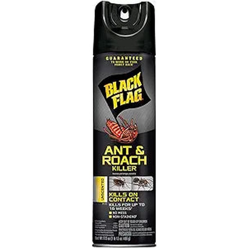 Black Flag Ant, Roach & Spider Killer Unscented 17 oz wholesale grocery retail distribution