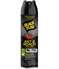Black Flag Ant&Roach Killer Spring Fr 17 Oz / 1 Ct