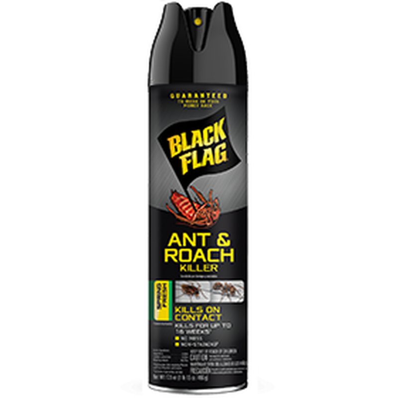 Black Flag Ant & Roach Killer Spring Fresh 17 oz wholesale grocery retail distribution