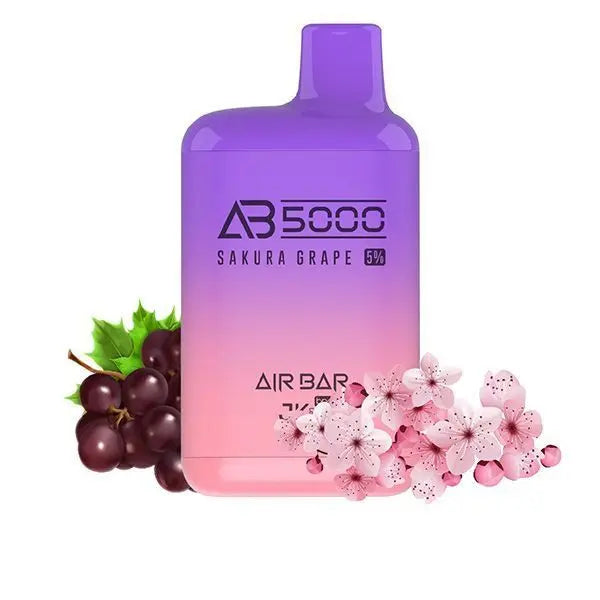 Air Bar AB5000 Disposable