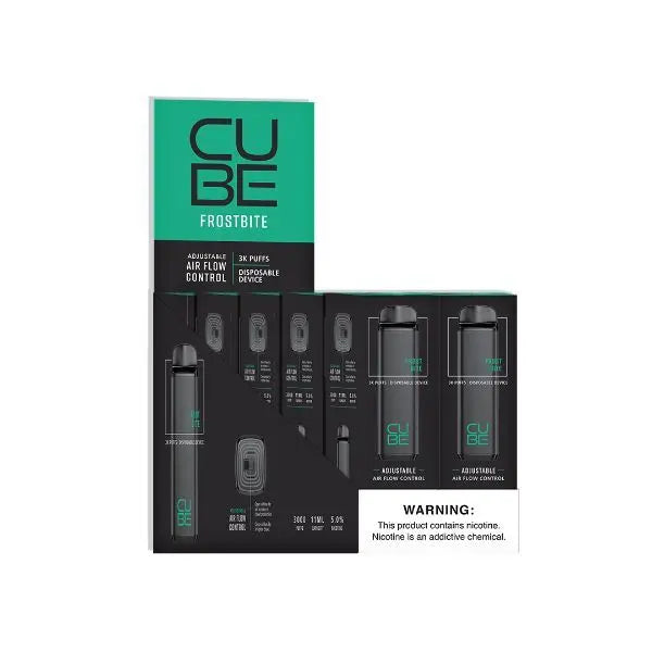 VaporTech Cube Disposable 10-Pack Frostbite