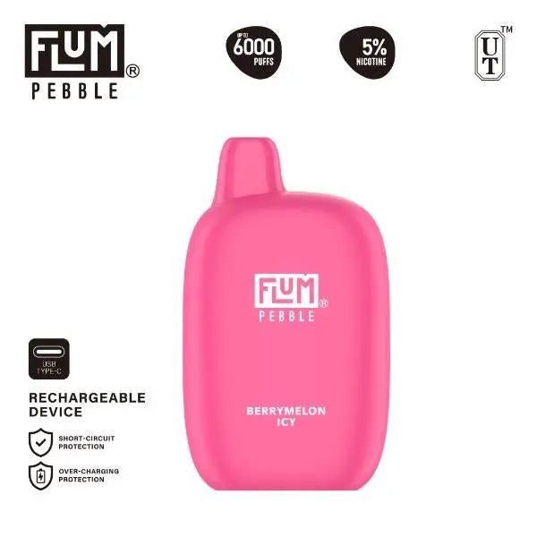 Flum Pebble 6000 Puffs Rechargeable Single Disposable Berrymelon Icy