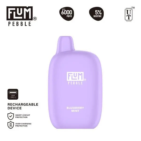 Flum Pebble 6000 Puffs Rechargeable Single Disposable Blueberry Mint
