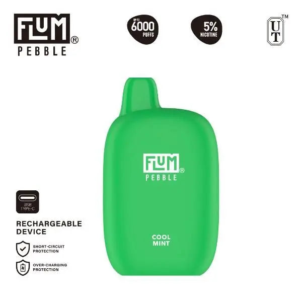 Flum Pebble 6000 Puffs Rechargeable Single Disposable Cool Mint