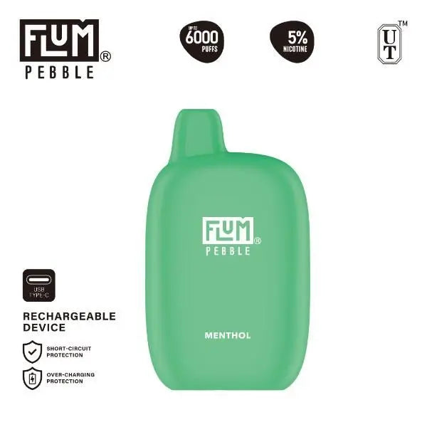 Flum Pebble 6000 Puffs Rechargeable Single Disposable Menthol