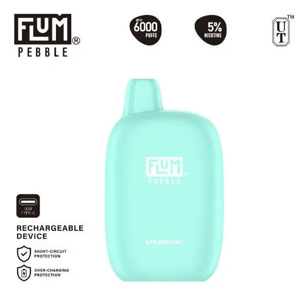 Flum Pebble 6000 Puffs Rechargeable Single Disposable Spearmint