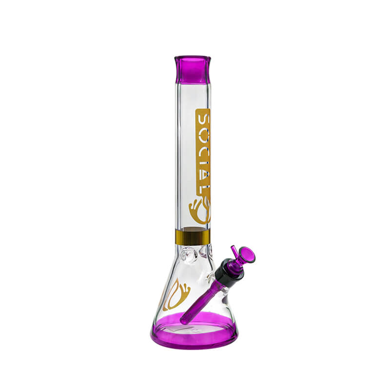 Social CASTOR Gold Foiled Beaker Waterpipe (MK-05) | 16 inch | Assorted Colors
