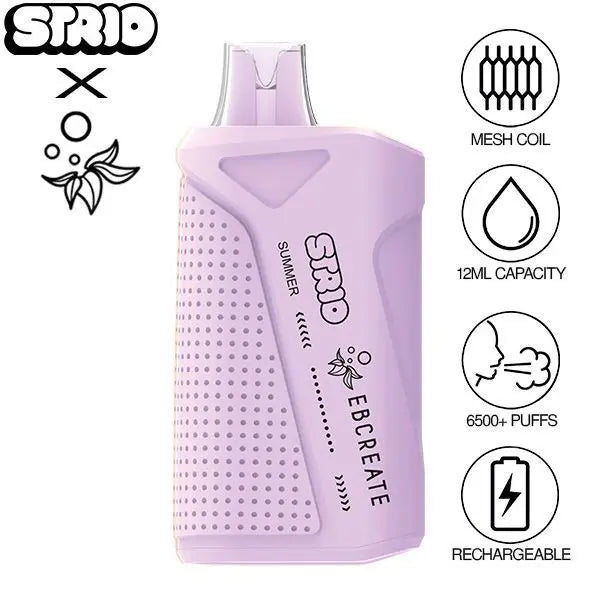 Strio Ebcreate Summer