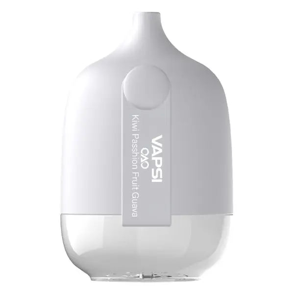 Vapsi OAO 6000 Puffs Disposable